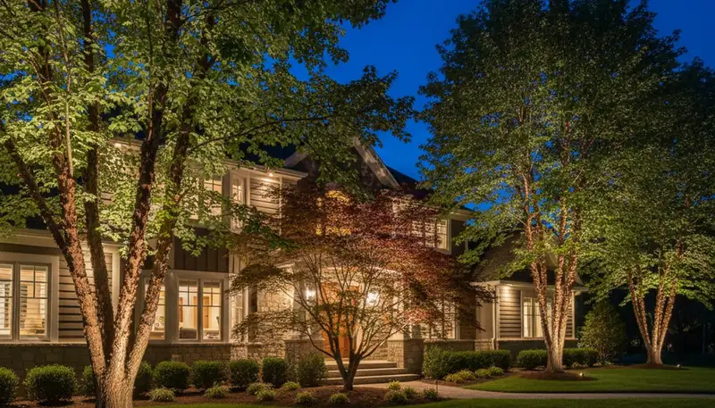 Dramatic tree uplighting design by professional landscapers in Madison, WI showcasing evening landscape lighting