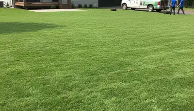 Freshly installed green sod lawn showing full coverage and curb appeal in Madison WI landscaping project